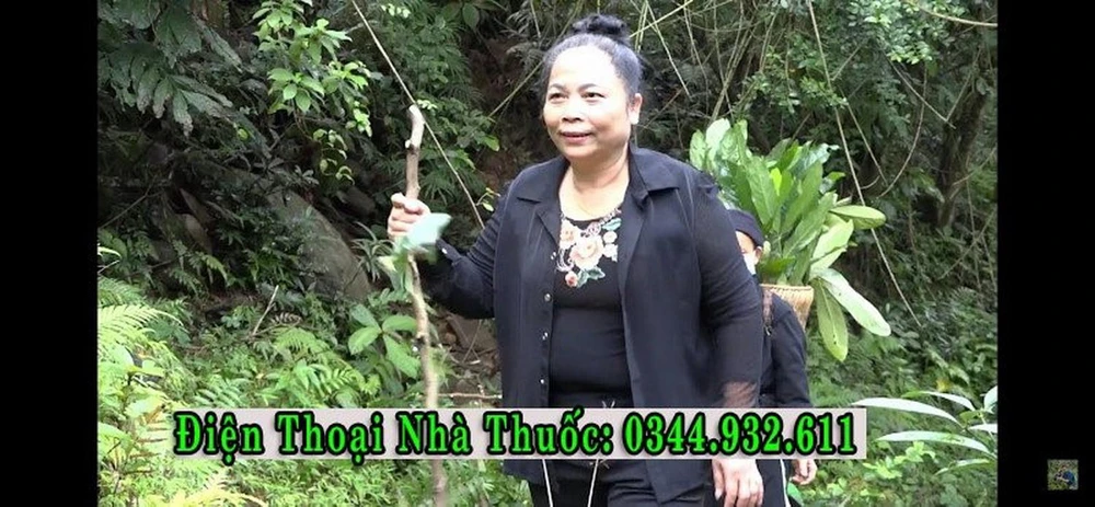 Bà Nguyễn Thị Hội đang đi tìm các nguyên liệu từ thiên nhiên