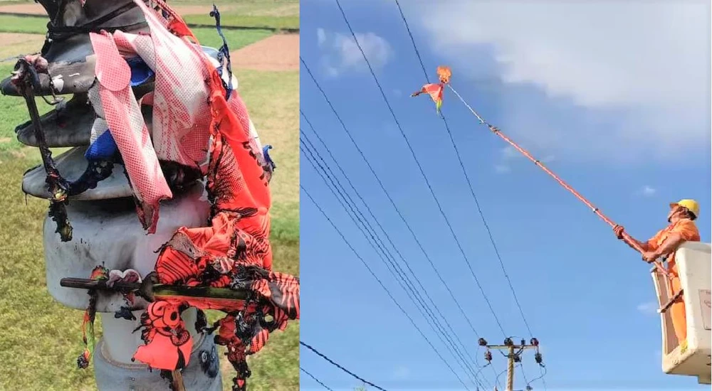 Diều vướng vào đường dây điện - nguy cơ gây mất an toàn nghiêm trọng.