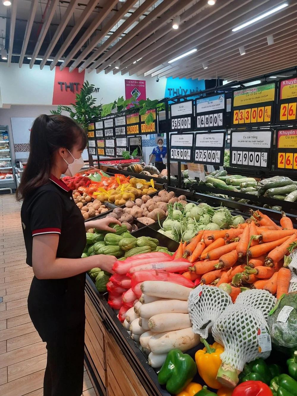 Khách hàng đang chọn mua su su Đắk Nông tại siêu thị Co.opmart.