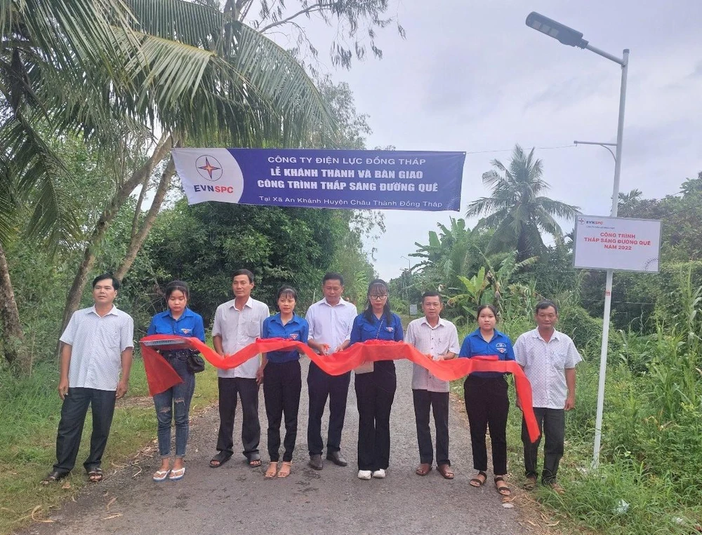 Triển khai xây dựng các công trình điện thắp sáng tuyến đường nông thôn tại các địa phương phía Nam.