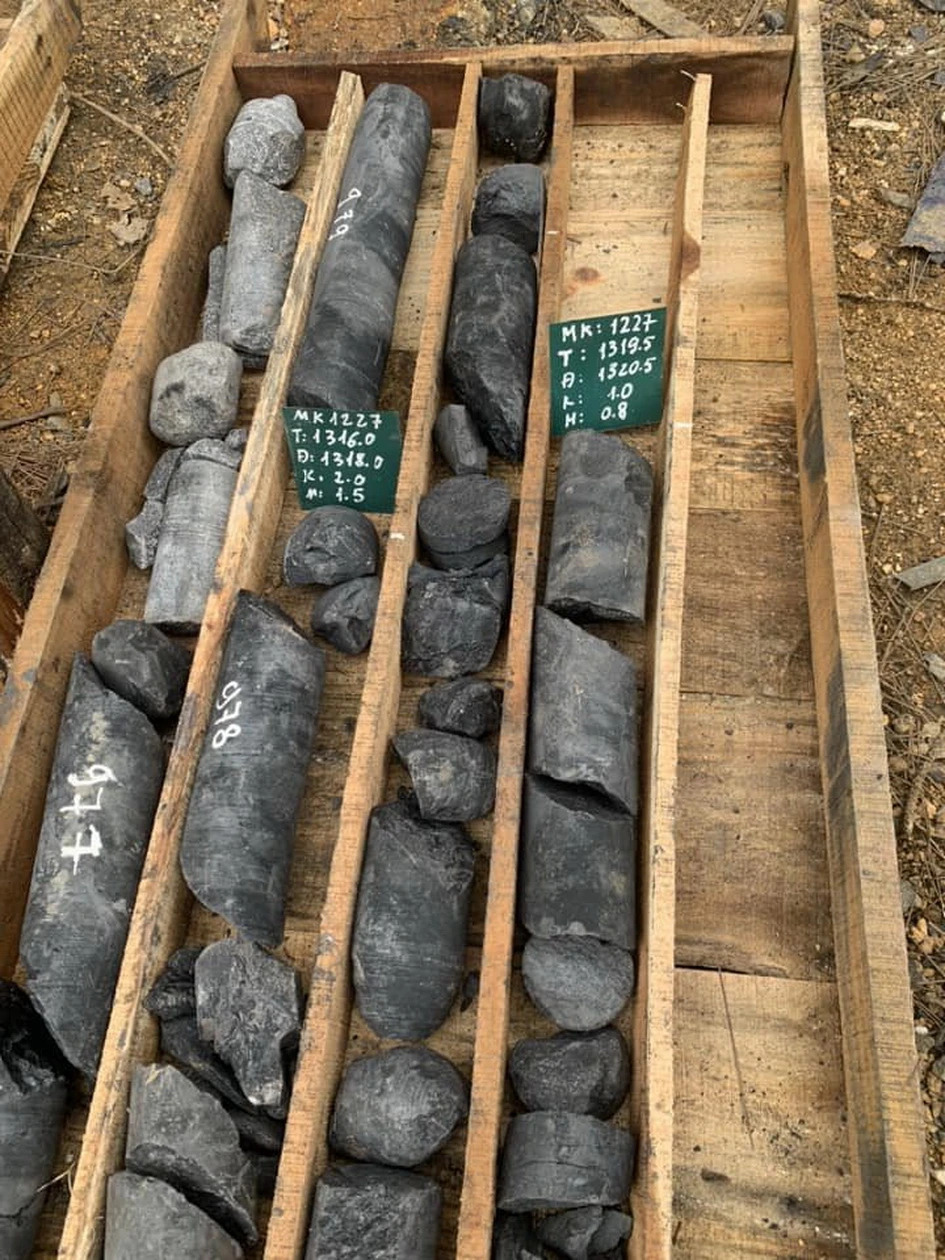 Mẫu địa tầng tại độ sâu 1320m.