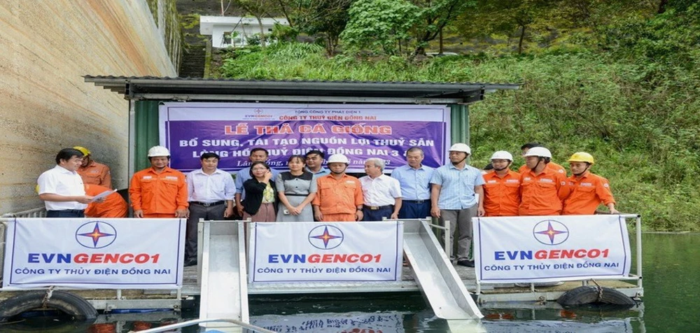 Quang cảnh buổi lễ thả cá giống