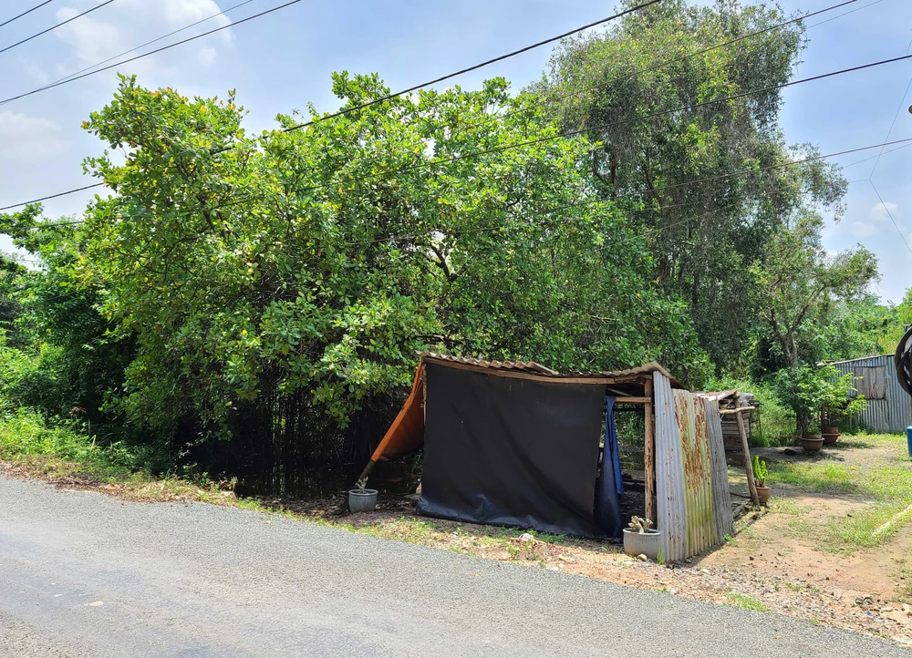 Một số người dựng chòi sát đường ven kênh, có người mở tiệm hớt tóc phục vụ cư dân ít ỏi ở khu vực này. Một số người dựng chòi sát đường ven kênh, có người mở tiệm hớt tóc phục vụ cư dân ít ỏi ở khu vực này.