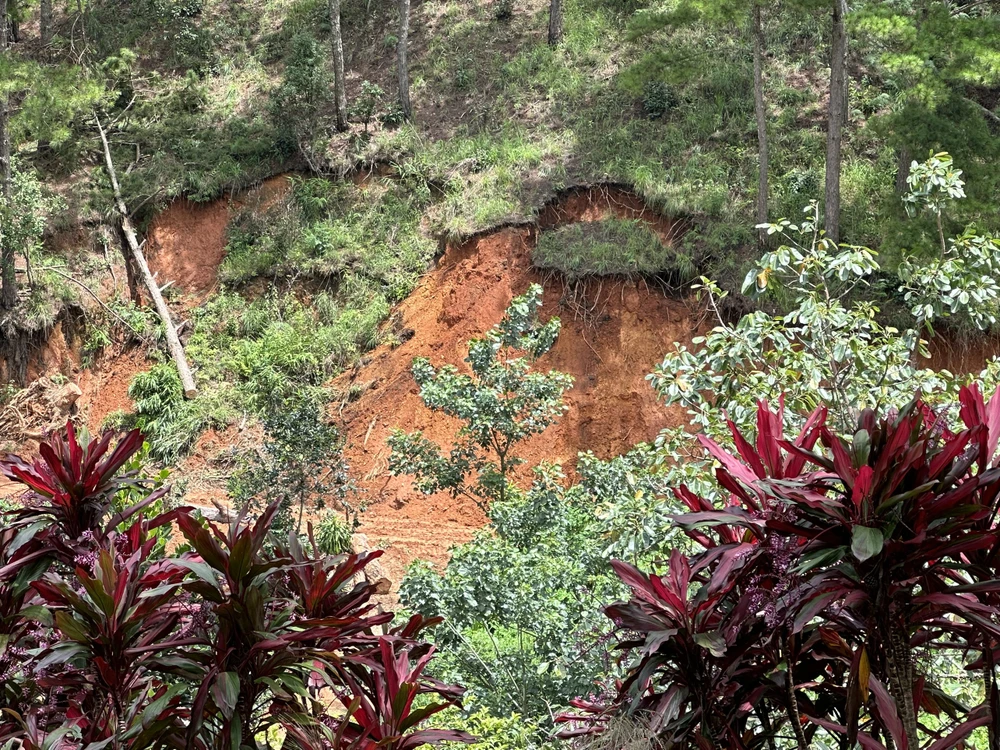 Sạt lở nhìn thấy rõ khi các mảng cỏ cũng bị trượt xuống đồi.