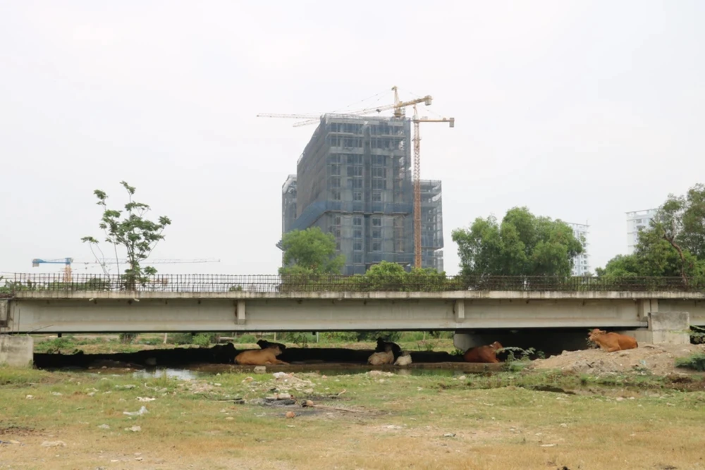 bất động sản.jpg