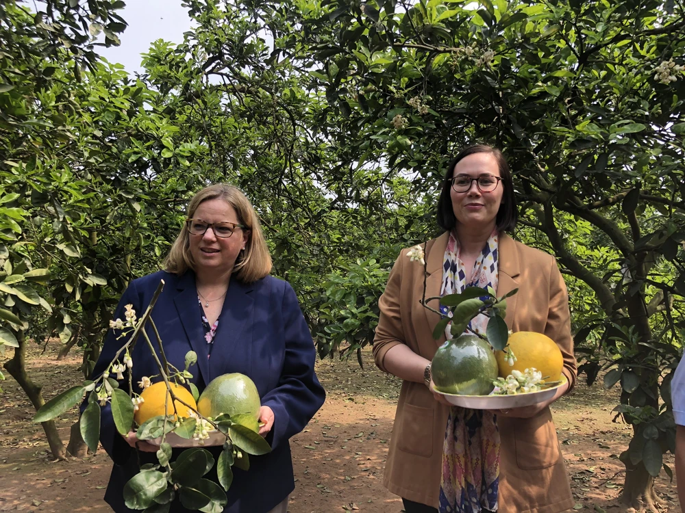 Thứ trưởng Moffitt (trái) và người đồng cấp Taylor được tặng bưởi Diễn khi thăm vườn trồng ở Hoài Đức hôm nay. Ảnh: MINH TRÚC