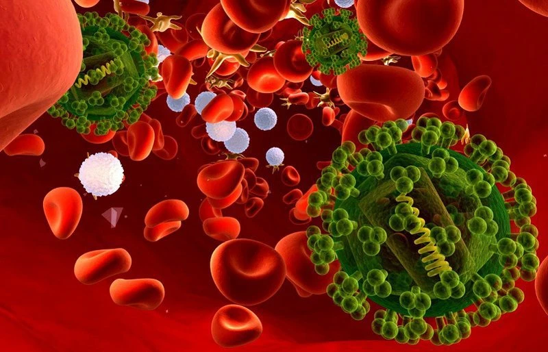 Các triệu chứng và dấu hiệu của nhiễm trùng huyết có thể khó phát hiện và thường dễ bị nhầm lẫn với các bệnh lý cấp cứu khác. Ảnh minh hoạ