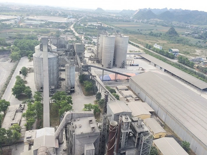 Tổng Công ty Xi măng Việt Nam