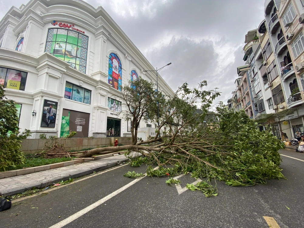 Doanh nghiệp bảo hiểm