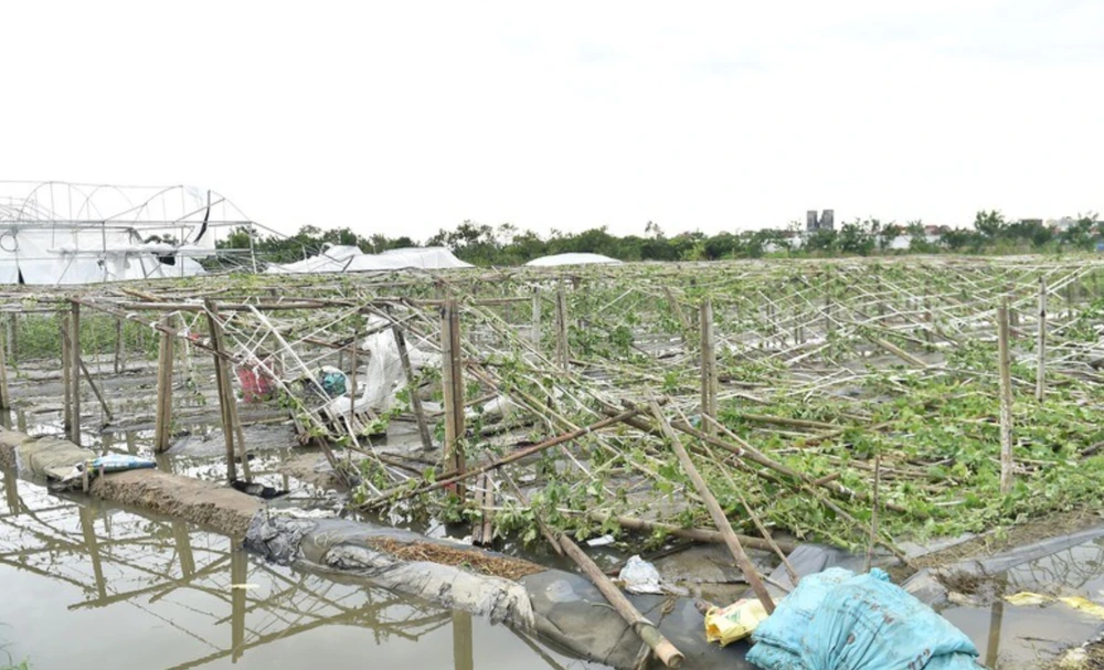 Sản xuất nông nghiệp