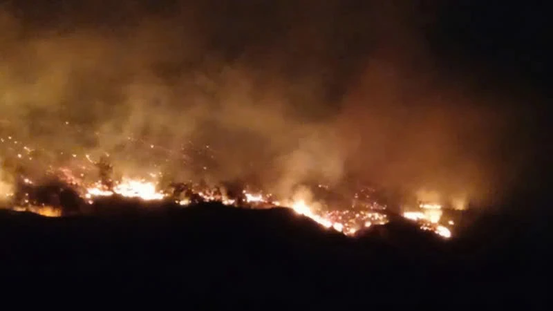 Thủ tướng có chỉ đạo khẩn liên quan 2 vụ cháy rừng ở Quảng Ninh