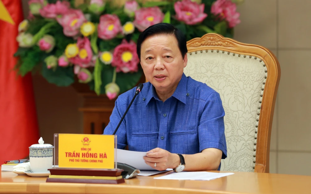 tiền sử dụng đất.jpg