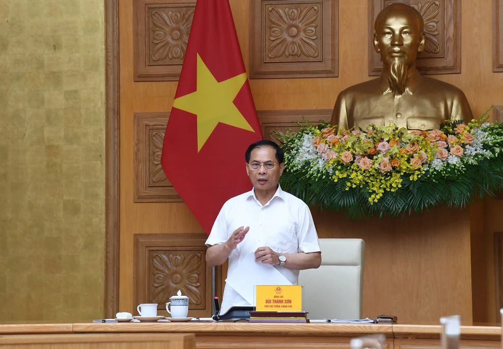 Phó Thủ tướng Bùi Thanh Sơn yêu cầu có chế tài xử lý nghiêm nhà đầu tư đăng ký phát triển các dự án năng lượng nhưng chậm, hoặc không triển khai. Ảnh: VGP