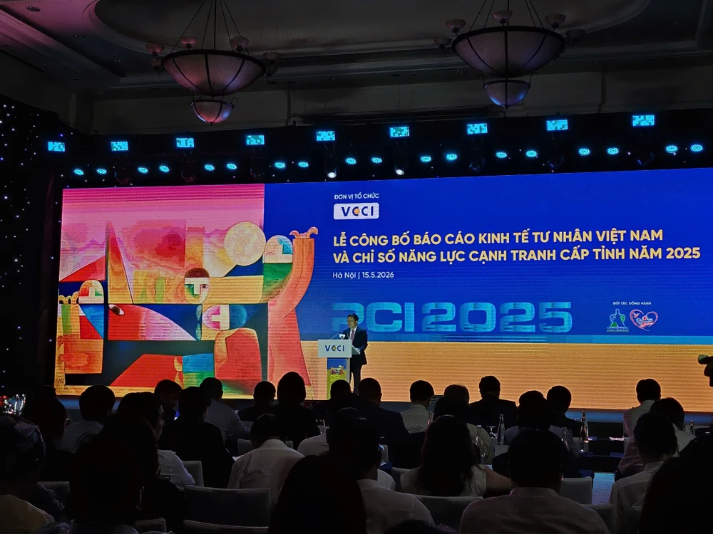 PCI 2025 kinh tế tư nhân.jpg