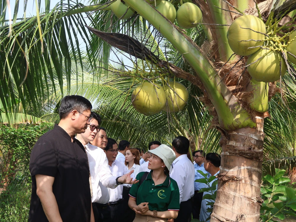 Tổng lãnh sự Trung Quốc: Hợp tác Việt-Trung ở phía nam phát triển mạnh mẽ