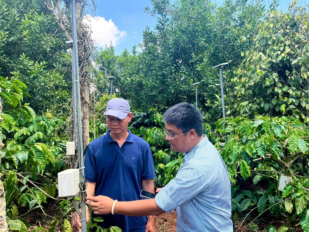 Thí nghiệm do Úc tài trợ giúp nông dân Tây Nguyên tiết kiệm nước