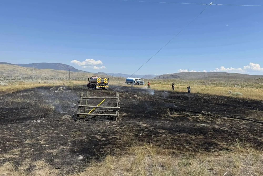 Làng có 1.500 dân bị mất điện vì...một con cá