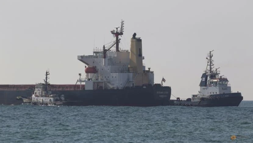 Tàu Ocean Lion chở 64.720 tấn ngô tới Hàn Quốc. Ảnh: REUTERS