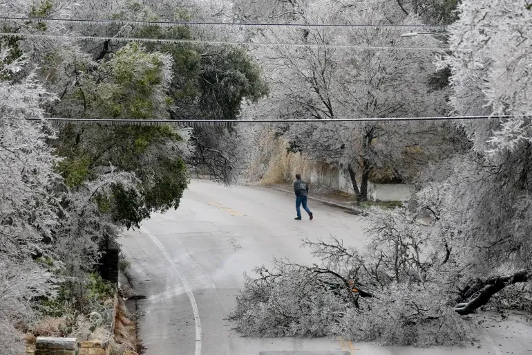 Cây đỗ chắn đường ở bang Texas trong trận bão mùa đông hồi ngày 1-2. Ảnh: REUTERS Cây đỗ chắn đường ở bang Texas trong trận bão mùa đông hồi ngày 1-2. Ảnh: REUTERS