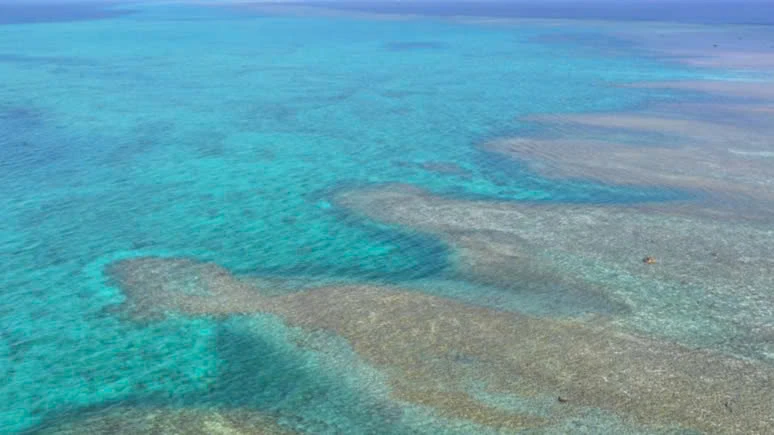 bãi cạn Scarborough
