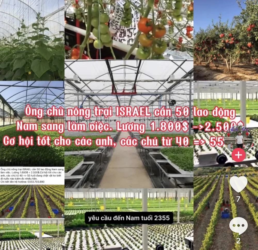 người lao động 9.jpg