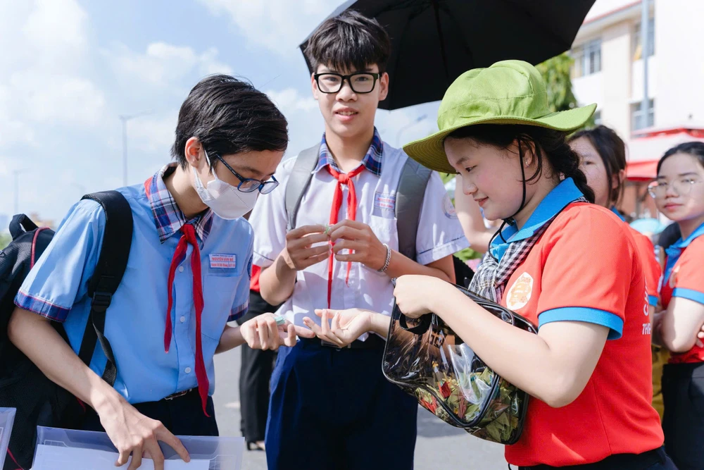 Hoa phượng đỏ 6.jpg