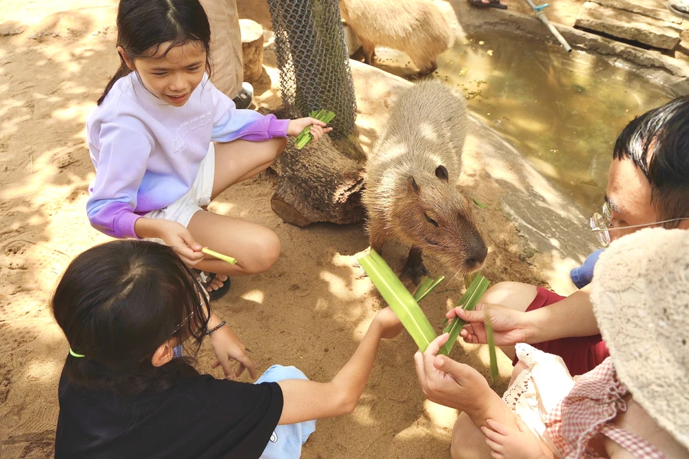 Vườn thú thân thiện 1.jpg