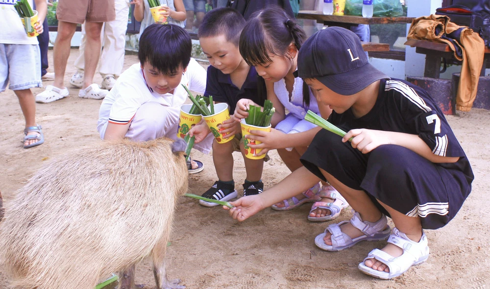 vườn thú thân thiện 3 (23).jpg