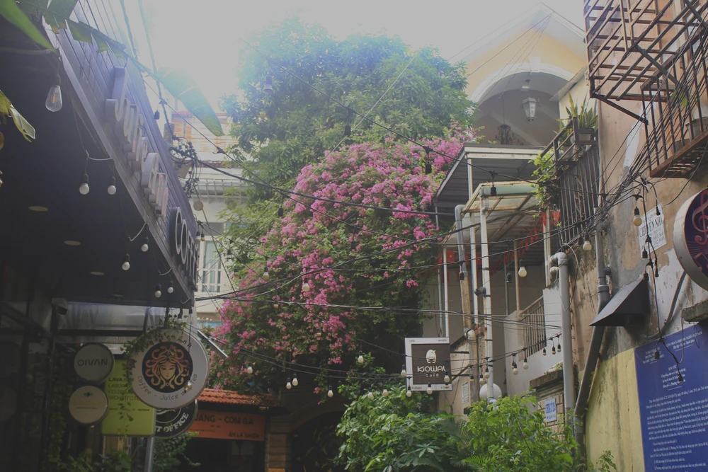 SẮC MÀU MỚI.jpg