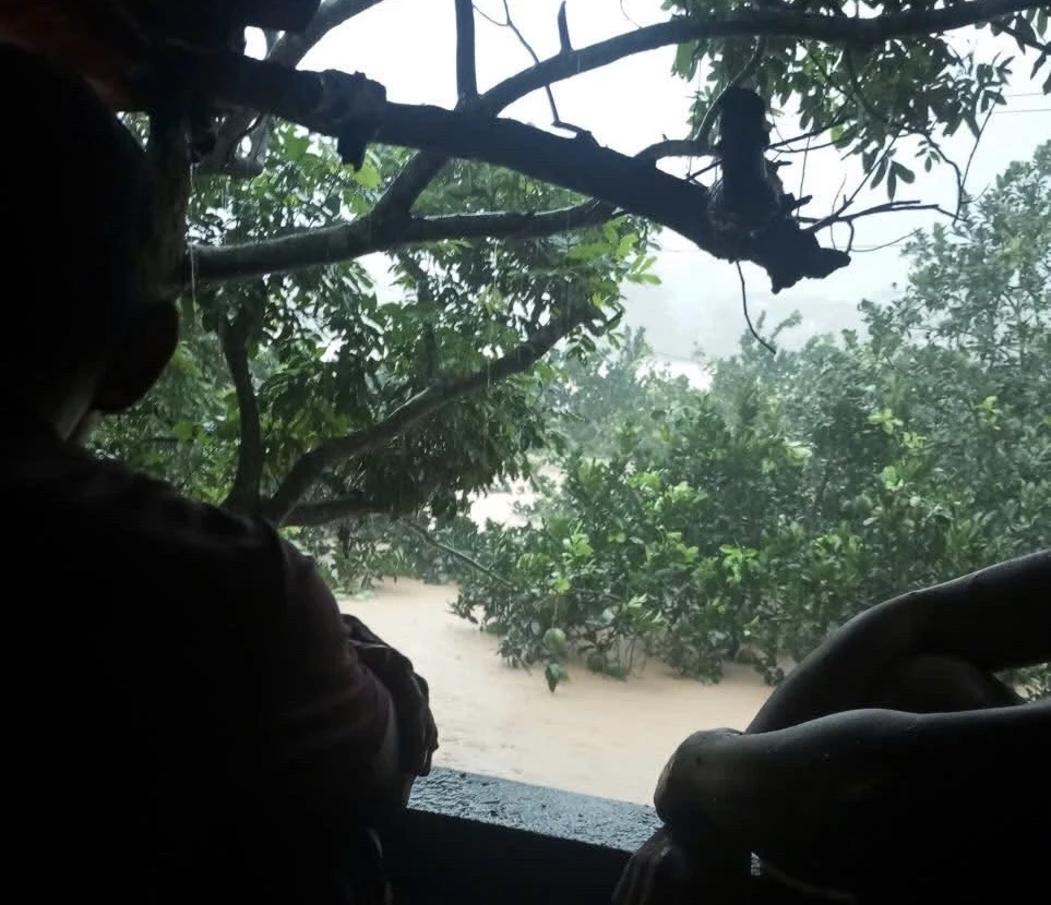 TS Huy Nguyễn (1).jpg