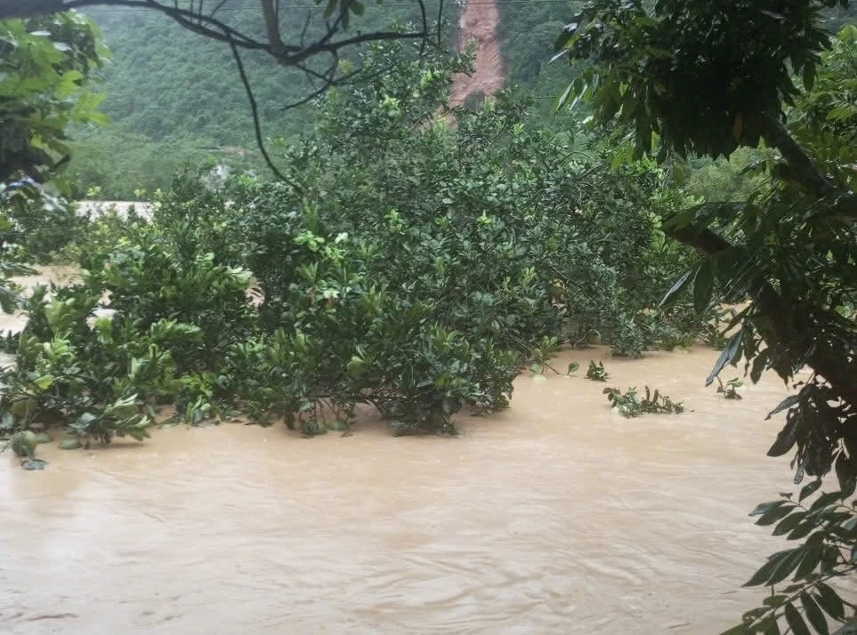 TS Huy Nguyễn (2).jpg