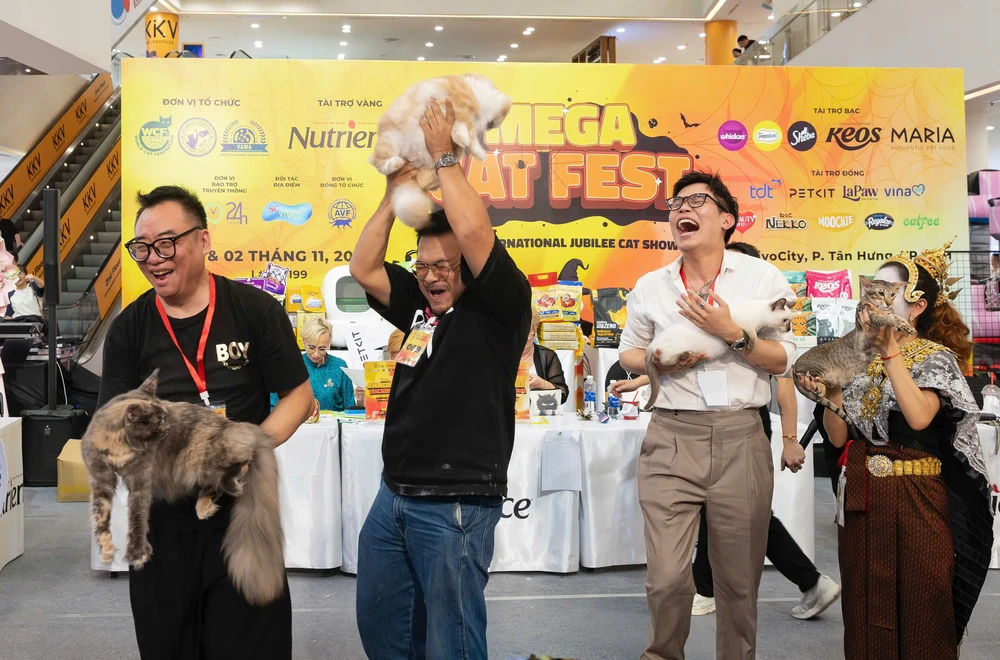 Hoa hậu mèo quốc tế (3).jpg