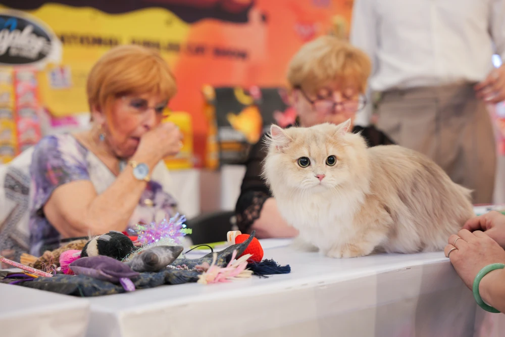 xấu nhất thế giới (1).jpg