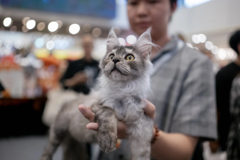 xấu nhất thế giới (12).JPG