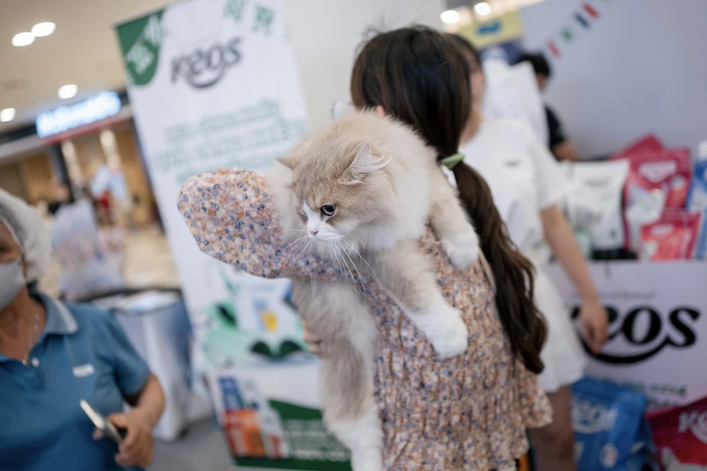 xấu nhất thế giới (13).JPG