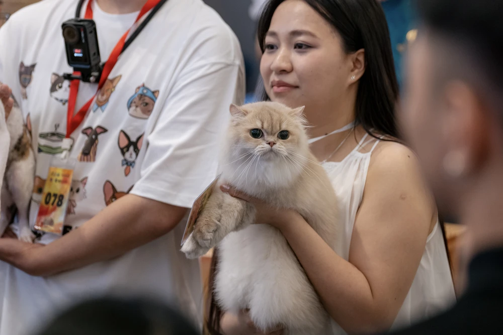 xấu nhất thế giới (15).JPG