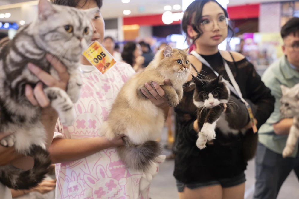 xấu nhất thế giới (19).jpg