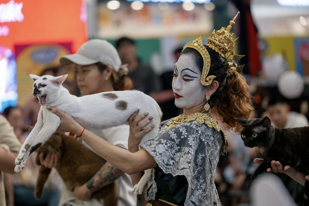 xấu nhất thế giới (2).JPG