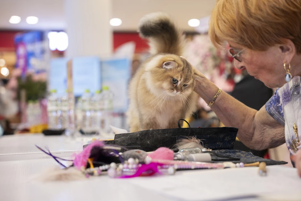 xấu nhất thế giới (20).jpg