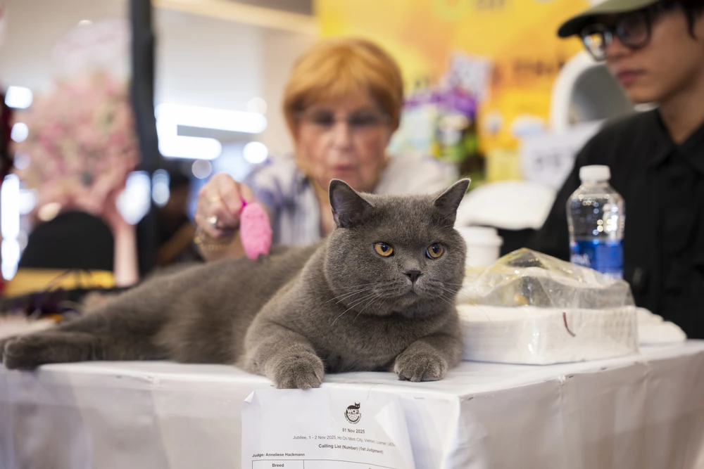 xấu nhất thế giới (21).jpg