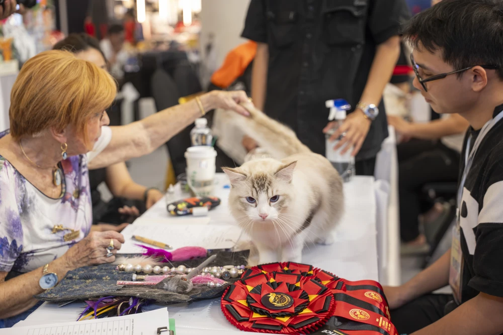 xấu nhất thế giới (24).jpg