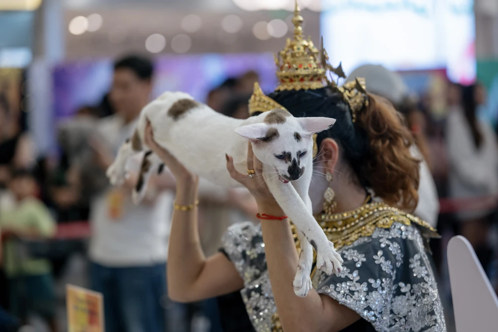 xấu nhất thế giới (3).JPG