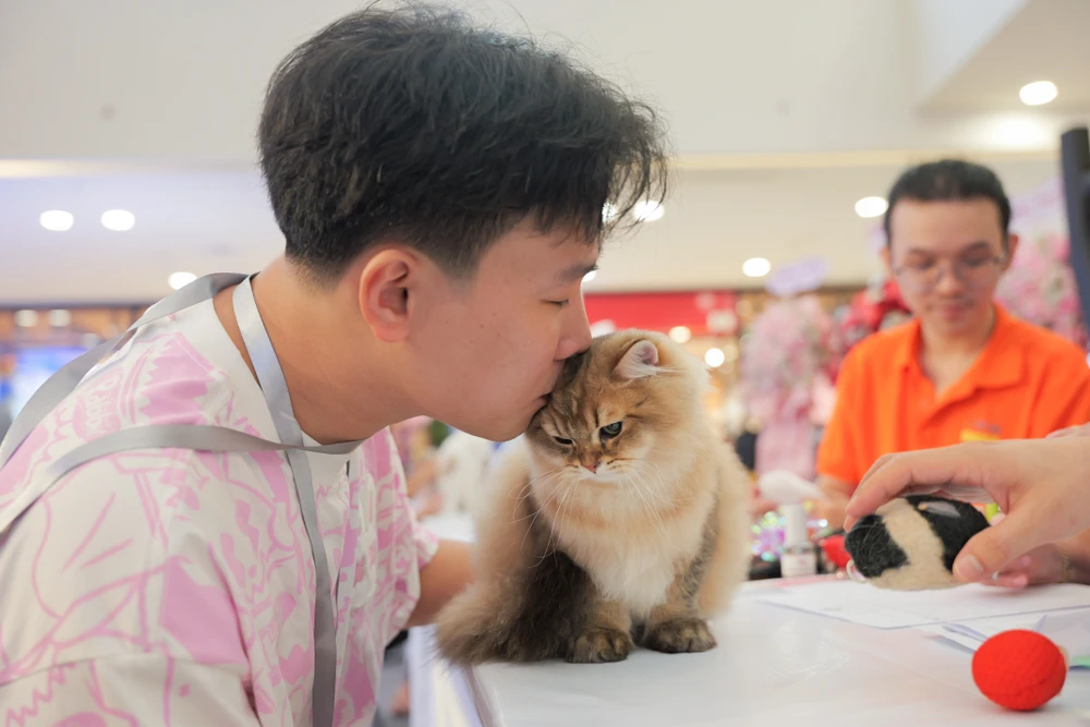 xấu nhất thế giới (37).jpg