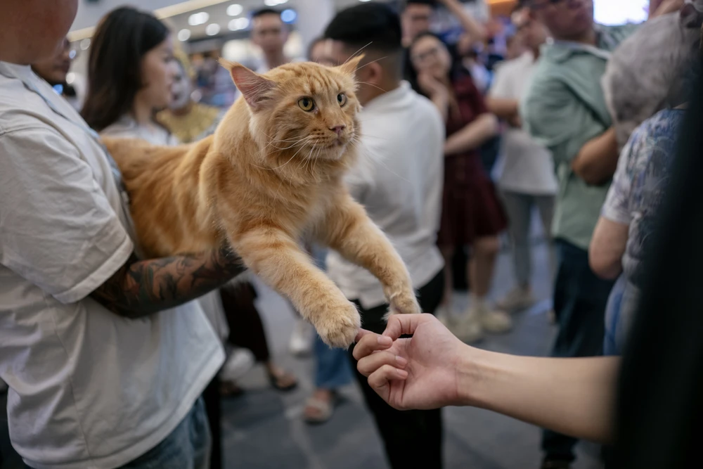 xấu nhất thế giới (4).JPG