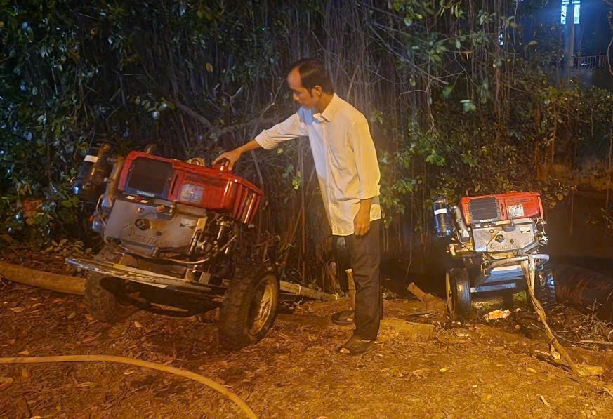 thủ phủ mai vàng (11).jpg