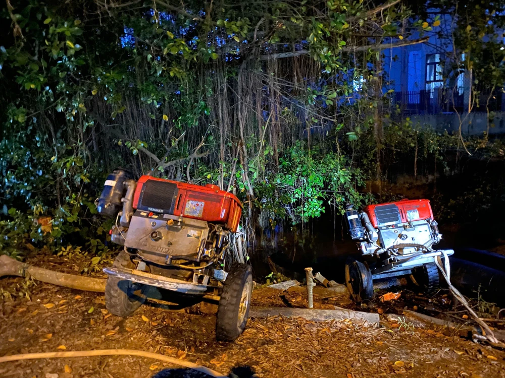 thủ phủ mai vàng (12).jpg