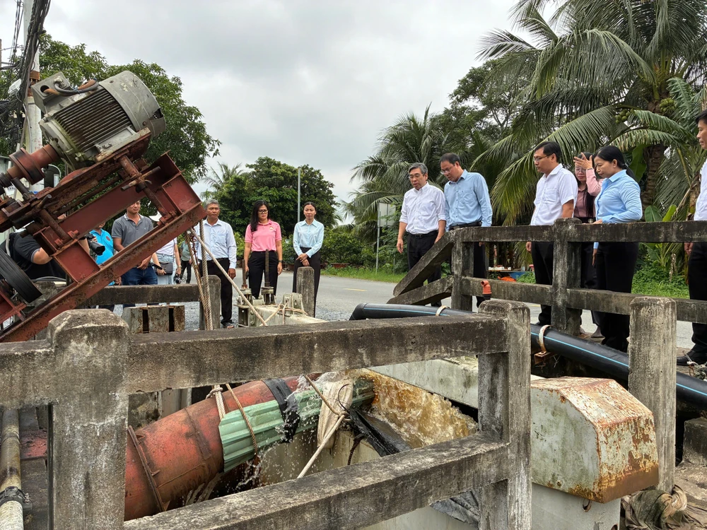 thủ phủ mai vàng (4).jpg