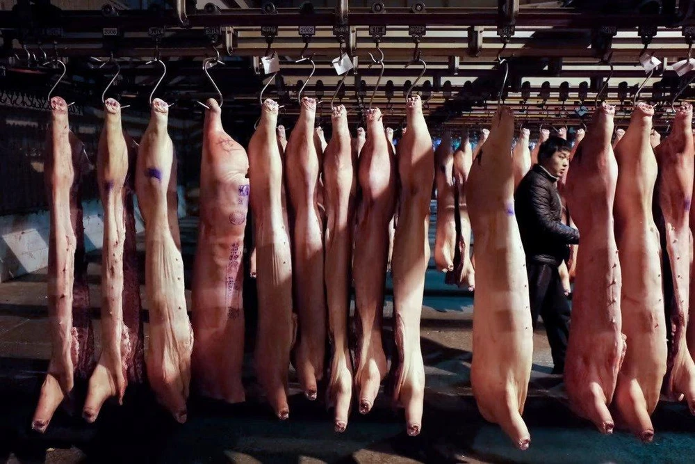 Giá thịt lợn tăng mạnh, Trung Quốc cân nhắc xả kho dự trữ. Ảnh: EPA-EFE