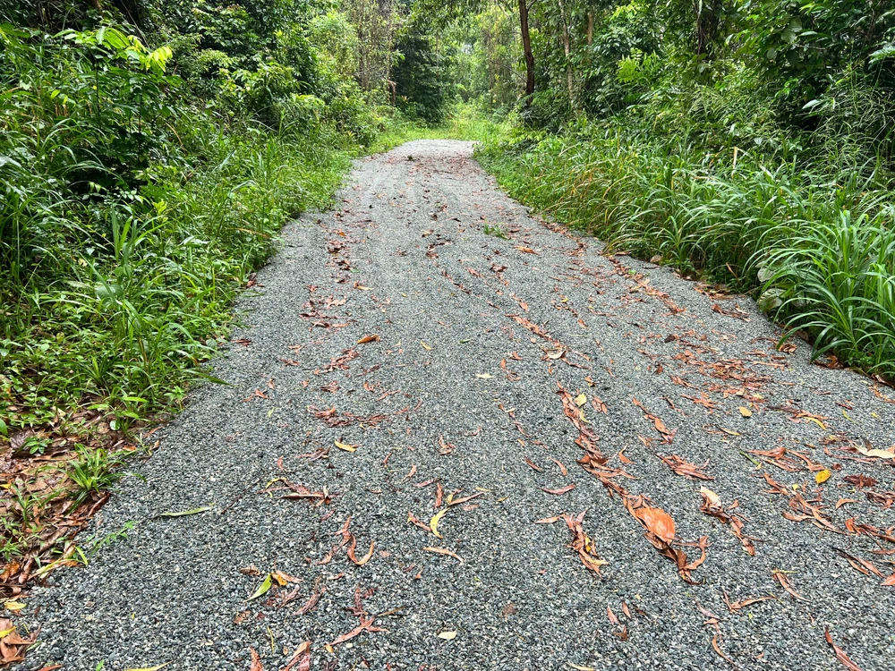 Con đường do phá rừng mở trái phép trước đó hiện đã bị rải đá dăm để chuẩn bị làm đường kiên cố (hình ảnh ghi nhận vào ngày 20-9-2022). Ảnh: HĐ