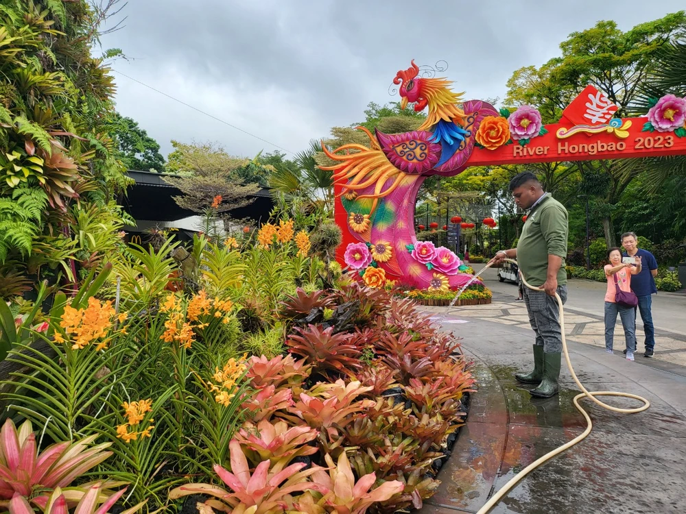 Việc chăm sóc cây, phục vụ xe điện và các tiện ích khác luôn được đảm bảo. Vì là khu vườn nhân tạo nên không có các loại cây lớn, hầu hết là các loại cây vùng nhiệt đới kết hợp với các khung cảnh độc đáo.